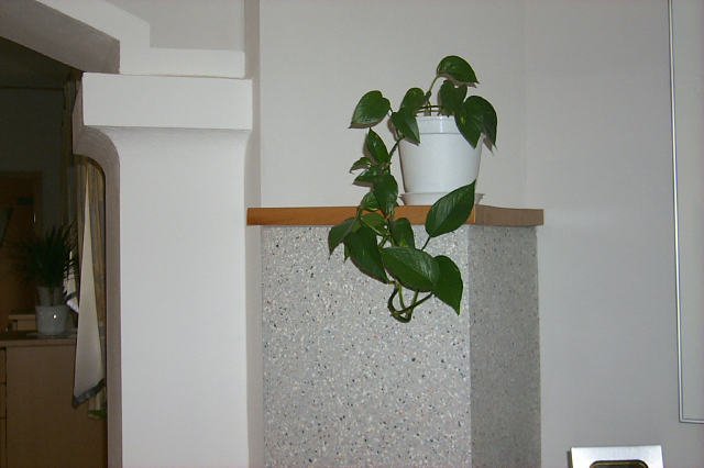 p0001644