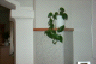 p0001644
